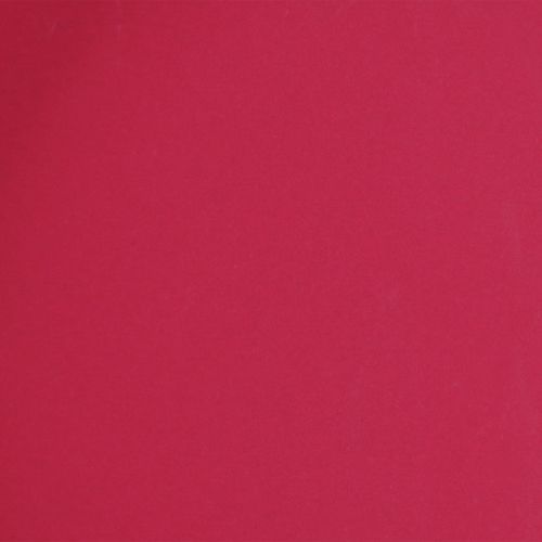 daiktų Universalus padėklas, praktiškas daiktų laikymo būdas valgomajame ir terasoje, 22 cm