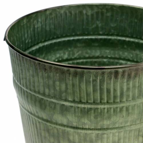 Floristik24 Vazonas sodinukams oranžinis, rudas, žalias Ø17cm H16,5cm rinkinyje 3 vnt