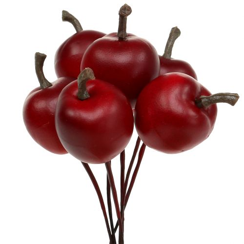 Floristik24 Mini obuolys ant vielos Ø2,5cm 48 vnt