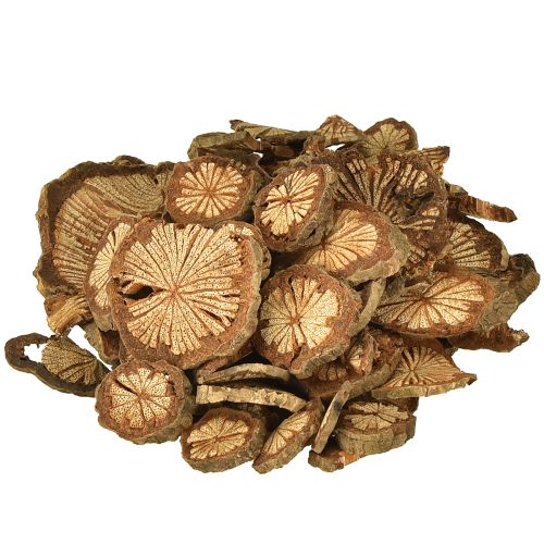 Mini mediniai diskai betelio riešutų dekoravimui su grūdeliais 1-4,5 cm 300 g