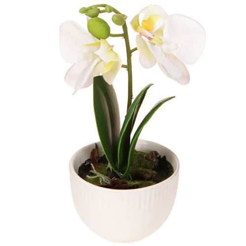 daiktų Mini orchidėjos Dirbtinės baltos orchidėjos vazonėlyje 15cm