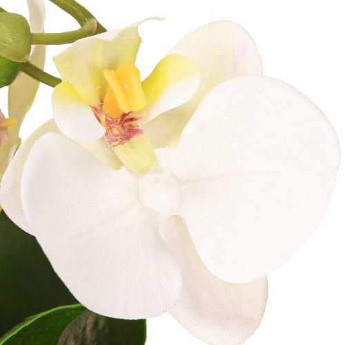 daiktų Mini orchidėjos Dirbtinės baltos orchidėjos vazonėlyje 15cm