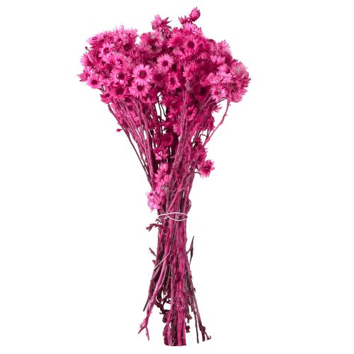 daiktų Mini šiaudinė gėlė Rožinė džiovinta gėlė Akmeninė gėlė H20cm 15g