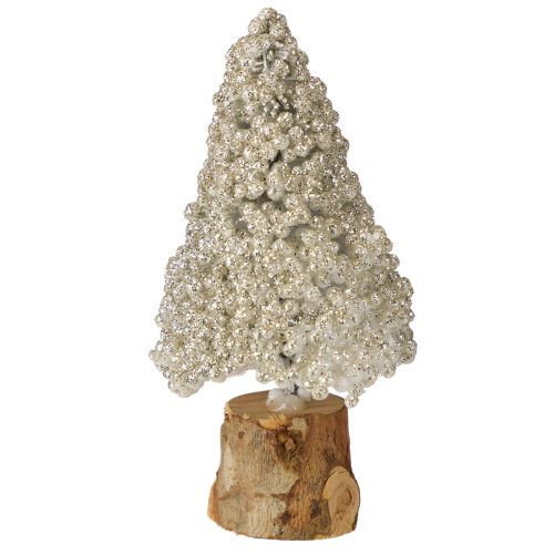 Floristik24 Mini Kalėdų eglutės stalo dekoracijos, šampano baltumo, aukštis 8 cm, 12 vnt.