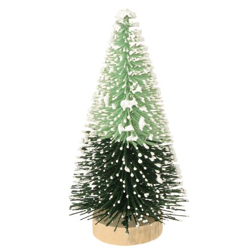 Floristik24 Mini dirbtinė Kalėdų eglutė su sniegu Ø5cm A10cm 6 vnt.