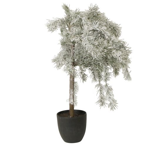 daiktų Mini Kalėdų eglutė, vazoninė kedro sniego dirbtinė 60 cm
