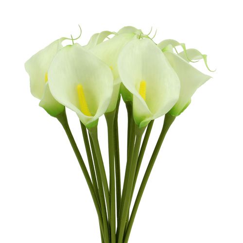 Floristik24 Mini Calla dirbtinė balta L 28cm 12vnt