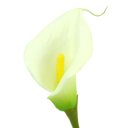 daiktų Mini Calla dirbtinė balta L 28cm 12vnt