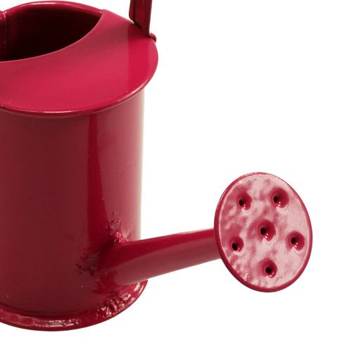 Floristik24 Mini laistytuvai rožinė rožinė Ø4cm 12vnt