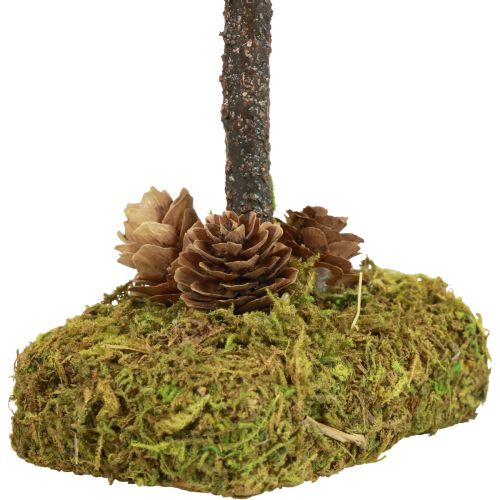 Floristik24 Mini eglutės stalo puošmena samanų eglutė H30,5cm