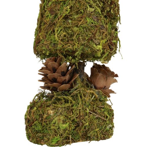 Floristik24 Mini eglutė dirbtinė stalo puošmena samanų eglutė H18cm