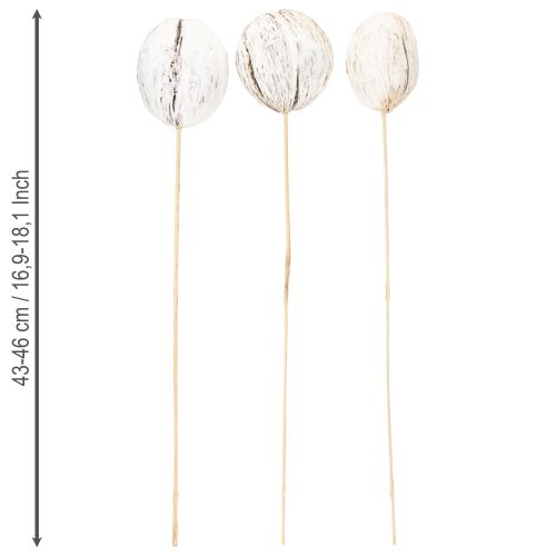 daiktų Mintolla kamuoliukas ant pagaliuko mišinio baltas 6 vnt