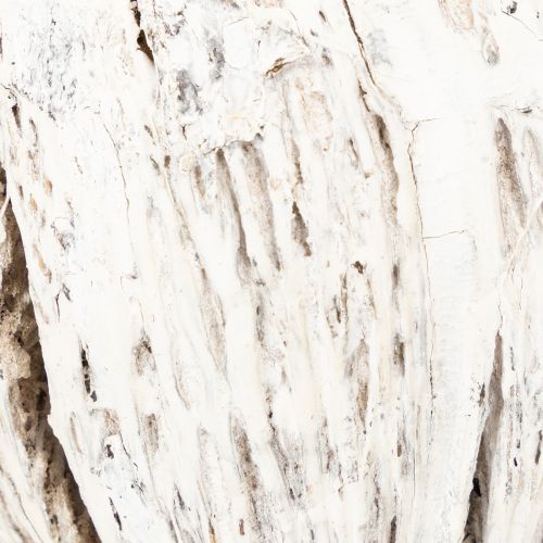 daiktų Mintolla kamuoliukas ant pagaliuko mišinio baltas 6 vnt