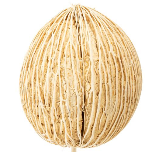 daiktų Mintolla kamuoliukas balintas 8cm - 10cm L46cm 6 vnt