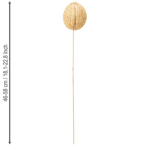 daiktų Mintolla kamuoliukai balinti 8cm - 10cm I46cm 6 vnt.