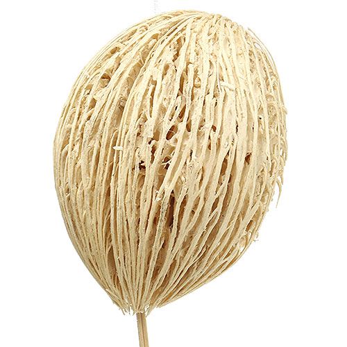 daiktų Mintolla kamuoliukas balintas 8cm - 10cm L46cm 6 vnt