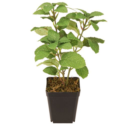 daiktų Mėtų vazonėlyje Dirbtinės žolelės Žalias augalas H24cm