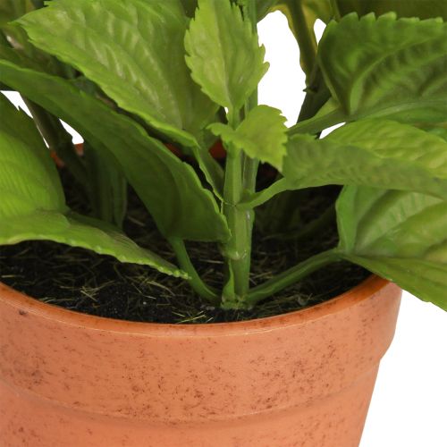 daiktų Mėtų vazonėlyje Dirbtinės žolelės Dirbtiniai augalai 18cm 2vnt