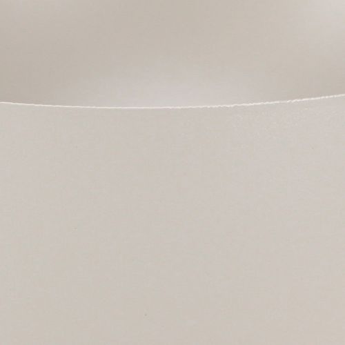 daiktų Modernus augalinis dubuo metalinis dekoratyvinis trofėjus pilkas Ø20cm H16.5cm