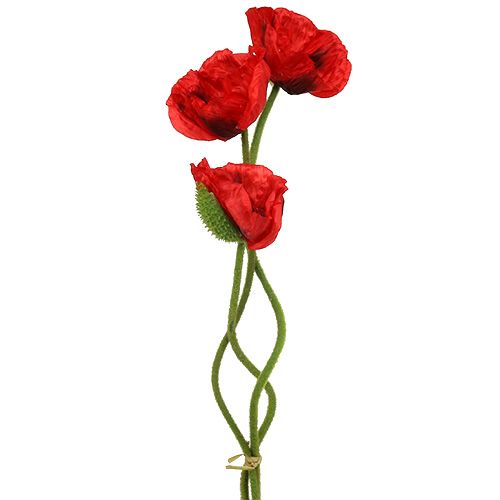 Floristik24 Aguonos raudonos 58cm - 74cm 3 vnt