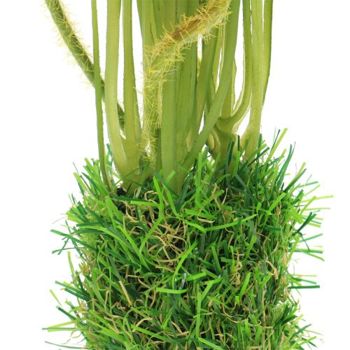 daiktų Aguonų raudona žolėje 23cm
