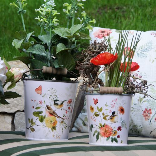 daiktų Aguonų raudona žolėje 23cm