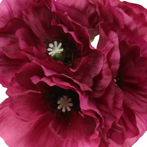 Floristik24 Aguonos violetinės 29cm 6vnt