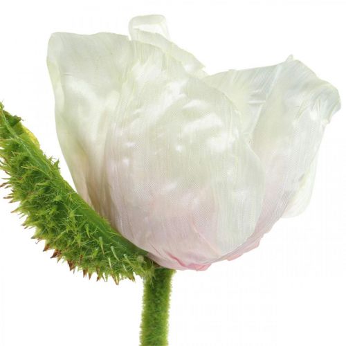 Floristik24 Dirbtinės aguonos, šilkinė gėlė baltai rožinė L55/60/70cm rinkinyje 3 vnt