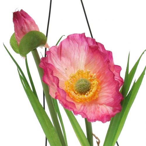 Floristik24 Aguonos stiklinėje pakabinti rožinės spalvos H22cm