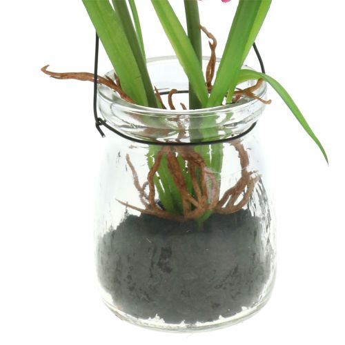 Floristik24 Aguonos stiklinėje pakabinti rožinės spalvos H22cm