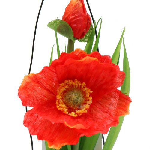 Floristik24 Aguonų apelsinas stiklinėje pakabinimui H22cm