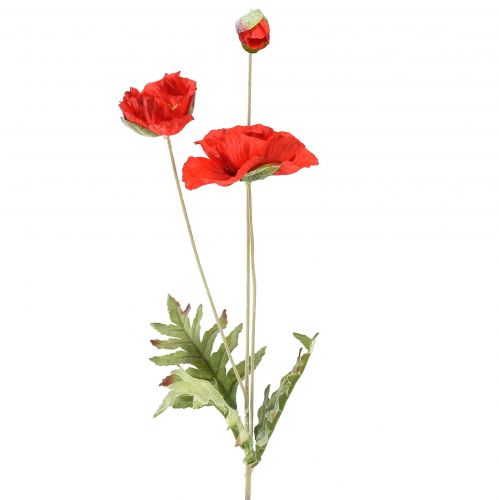 daiktų Aguonų dekoratyvinė sodo gėlė su 3 žiedais raudona L70cm