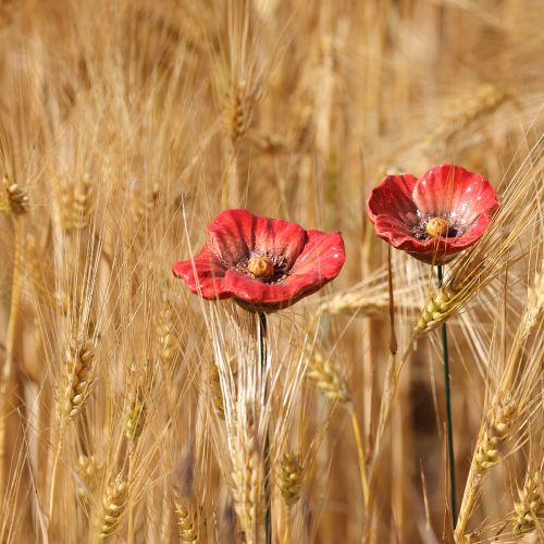 daiktų Keraminės aguonos gėlės, romantiškos, pavasario dekoracijos sodui ir gėlynams, 31 cm, 6 vnt.