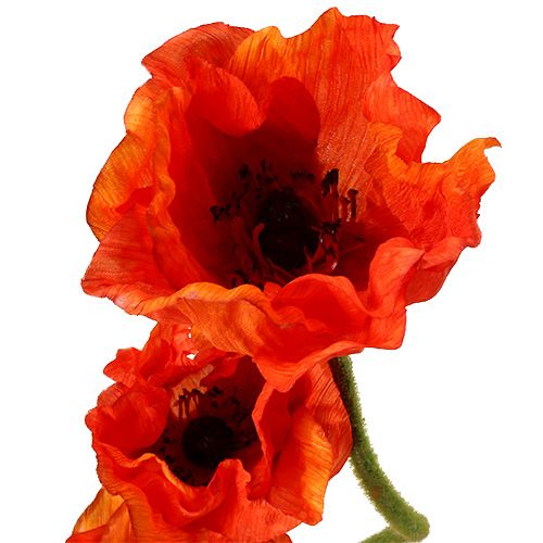 daiktų Aguonos dirbtinės gėlės oranžinės 58cm–74cm 3vnt