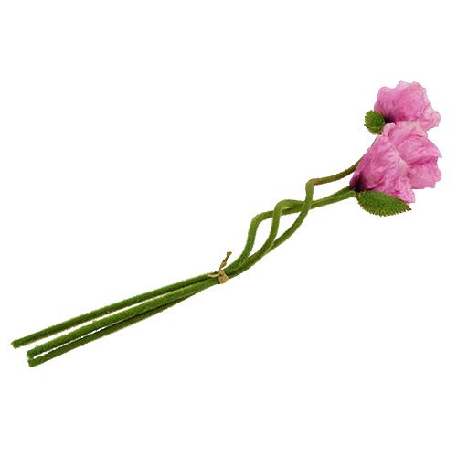 daiktų Aguonos rožinės 59cm - 75cm 3 vnt