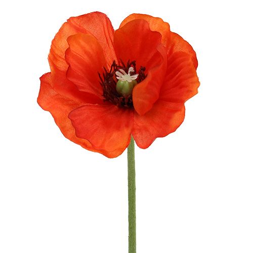 Floristik24 Aguonų puokštė L28cm