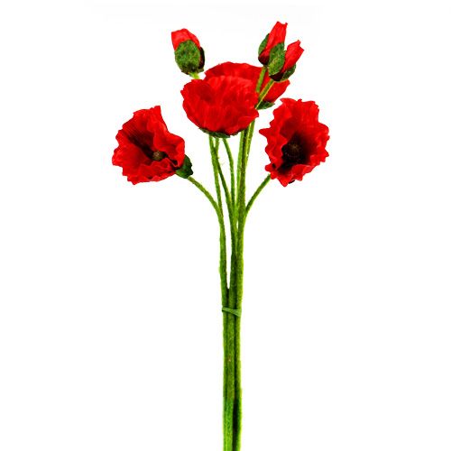 Floristik24 Aguonos raudonos Ø7cm L48cm 4vnt