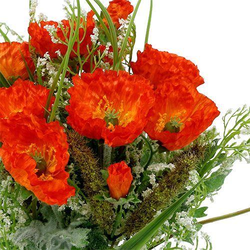 Floristik24 Oranžinė aguonų puokštė 40cm