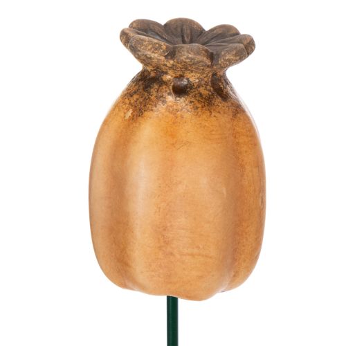 daiktų Sodo kuolo aguonų ankštis - dekoratyvinis akcentas sodo dekoravimui ir „pasidaryk pats“ projektams - 41 cm, 4 vnt. -