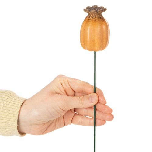 daiktų Sodo kuolo aguonų ankštis - dekoratyvinis akcentas sodo dekoravimui ir „pasidaryk pats“ projektams - 41 cm, 4 vnt. -