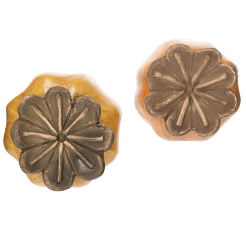 daiktų Aguonų ankštis sodui, gėlynui ar balkonui, 60 cm, 2 vnt.