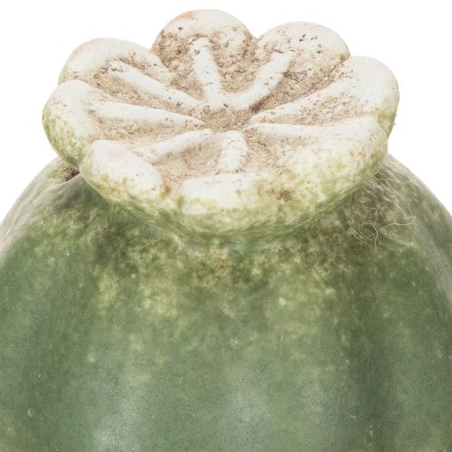 daiktų Dekoratyvinis aguonų ankšties kuolas sezoniniam sodo elegancijai arba balkono akcentams, 41 cm, 4 vnt.