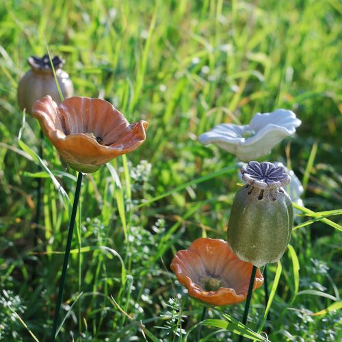 daiktų Dekoratyvinis aguonų ankšties kuolas sezoniniam sodo elegancijai arba balkono akcentams, 41 cm, 4 vnt.