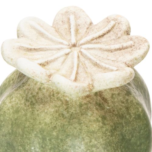 daiktų Aguonų sėklų ankštys sodo kuolelio dekoracijos žavingoms sodo kompozicijoms 60 cm 2 vnt.