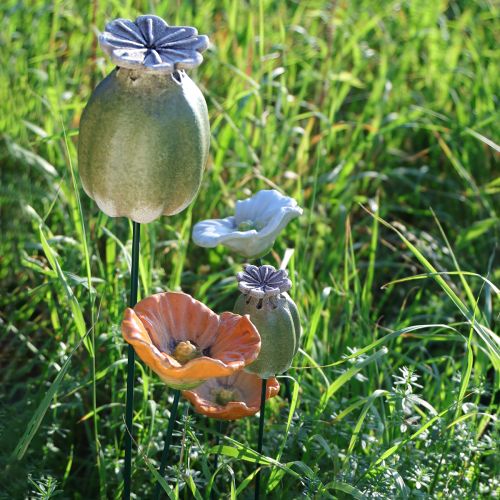 daiktų Aguonų sėklų ankštys sodo kuolelio dekoracijos žavingoms sodo kompozicijoms 60 cm 2 vnt.