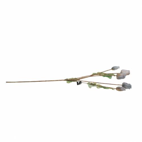 daiktų Dirbtinės aguonų ankštys geltonos, rudos H70cm