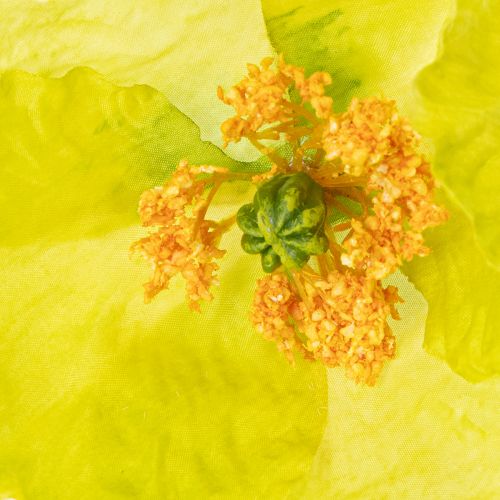 daiktų Dirbtinių aguonų dekoracija svetainėms ir biurams, 95 cm