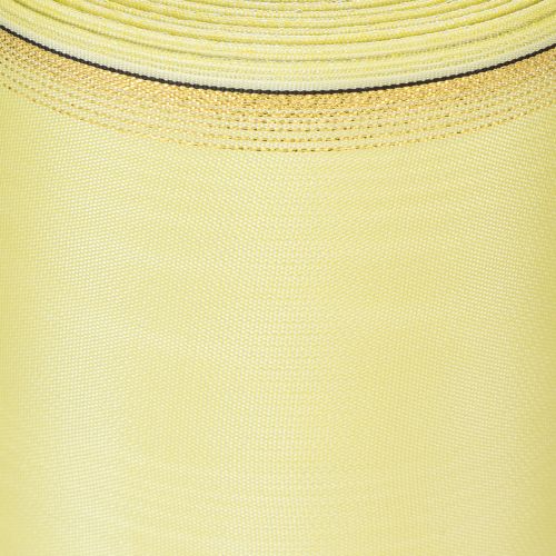 Moiré vainiko juostelė, šviesiai žalia su auksiniu kraštu, 175 mm x 25 m, aukštos kokybės floristikos puošmena | Floristik24.lt