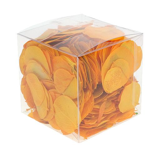 Floristik24 Monetos lapai aukso geltonumo 50g
