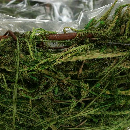 Floristik24 Samanų dubuo žalias Ø11cm H6,5cm - 7,5cm 5vnt